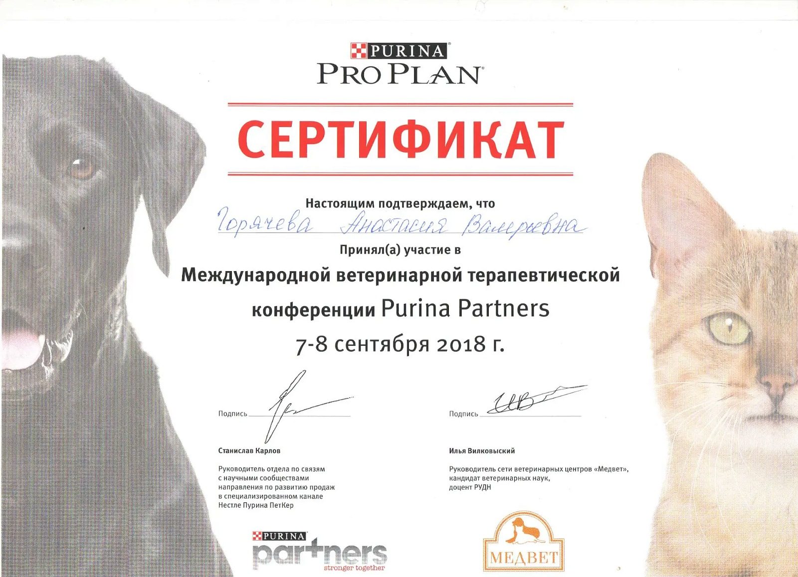 Документ или сертификат
