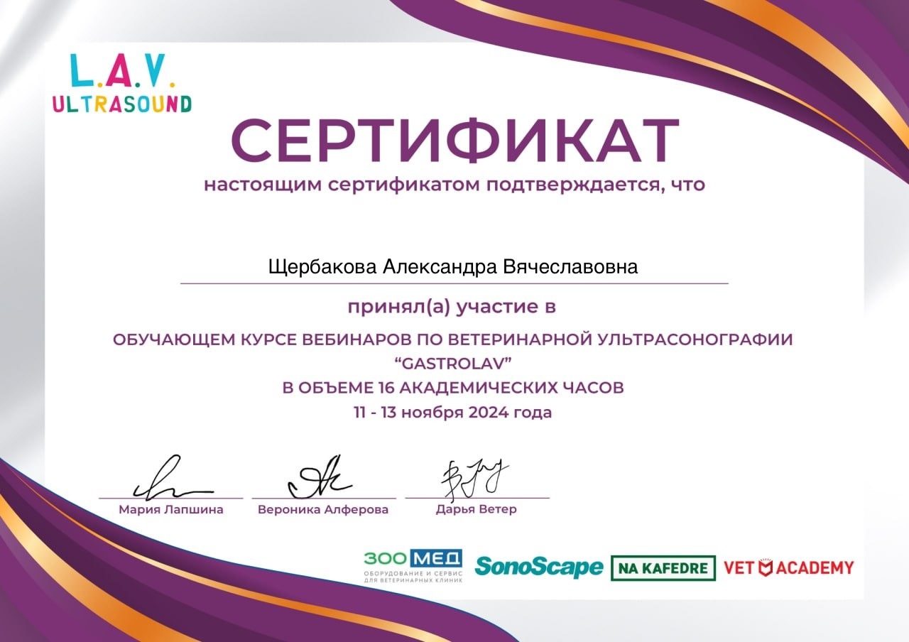 Документ или сертификат
