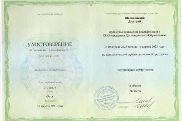 Документ или сертификат