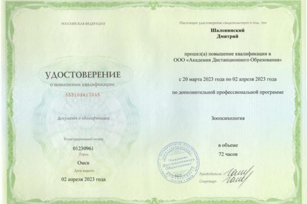 Документ или сертификат