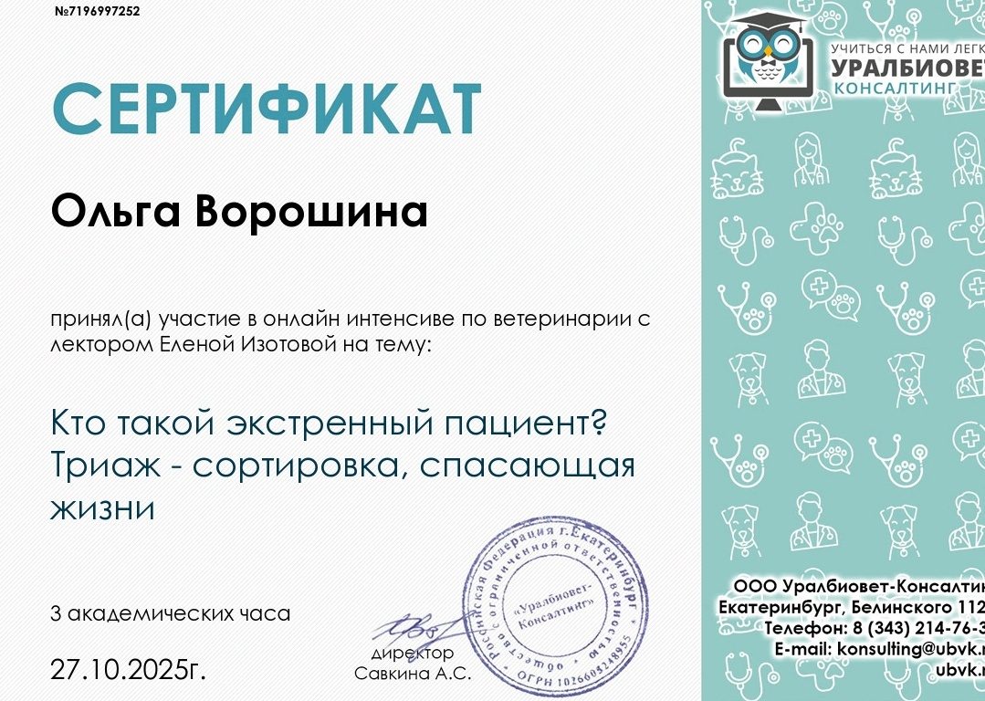 Документ или сертификат