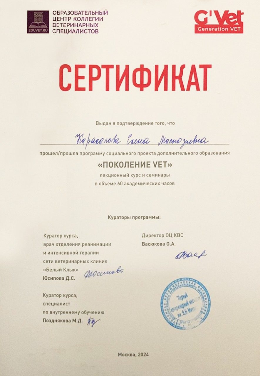 Документ или сертификат