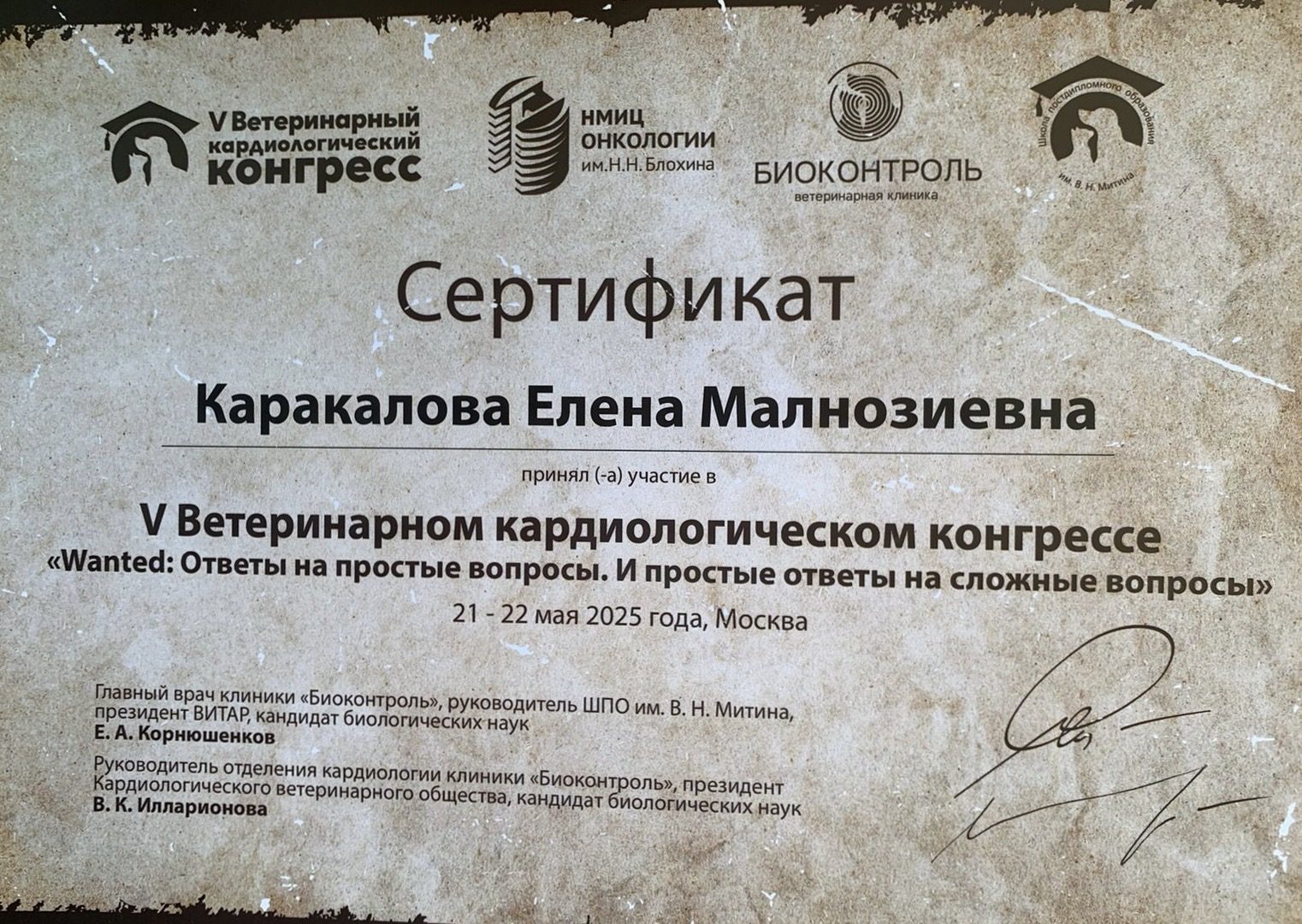 Документ или сертификат