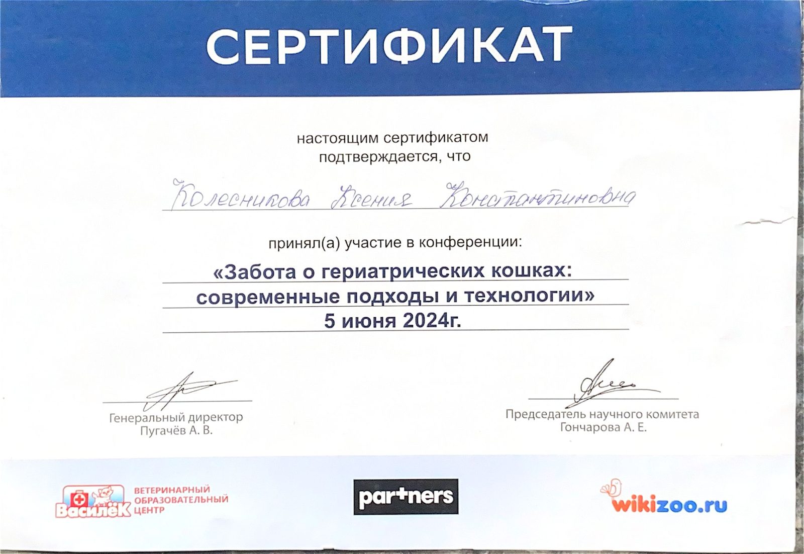 Документ или сертификат