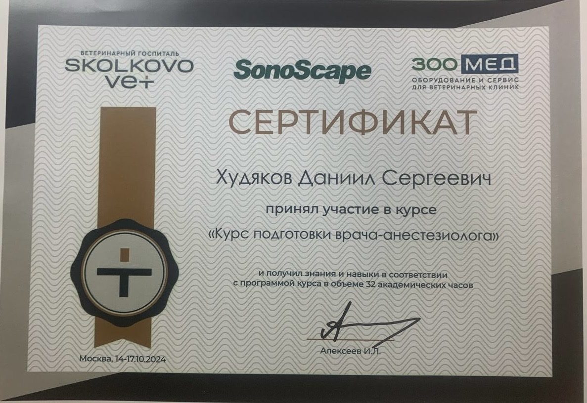 Документ или сертификат