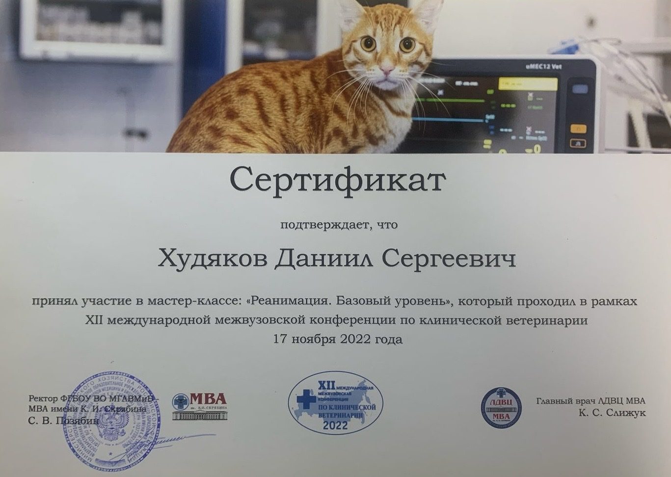 Документ или сертификат