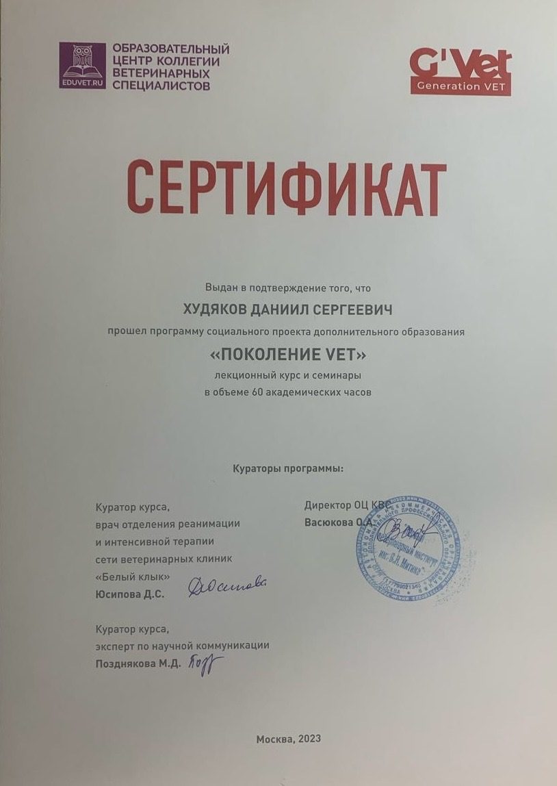 Документ или сертификат