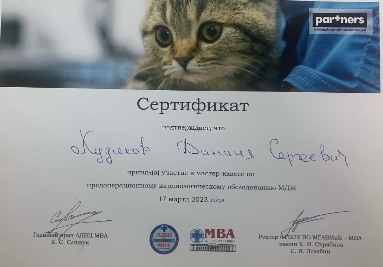 Документ или сертификат