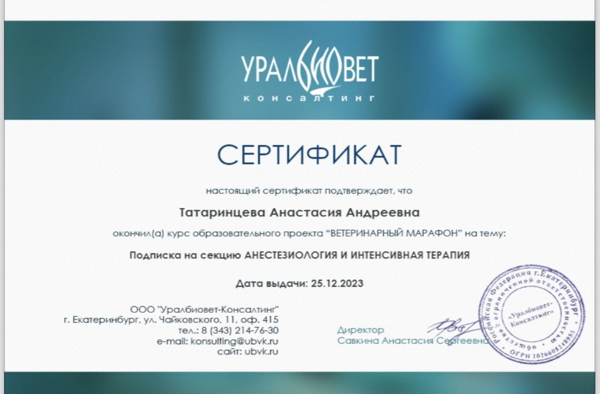 Документ или сертификат