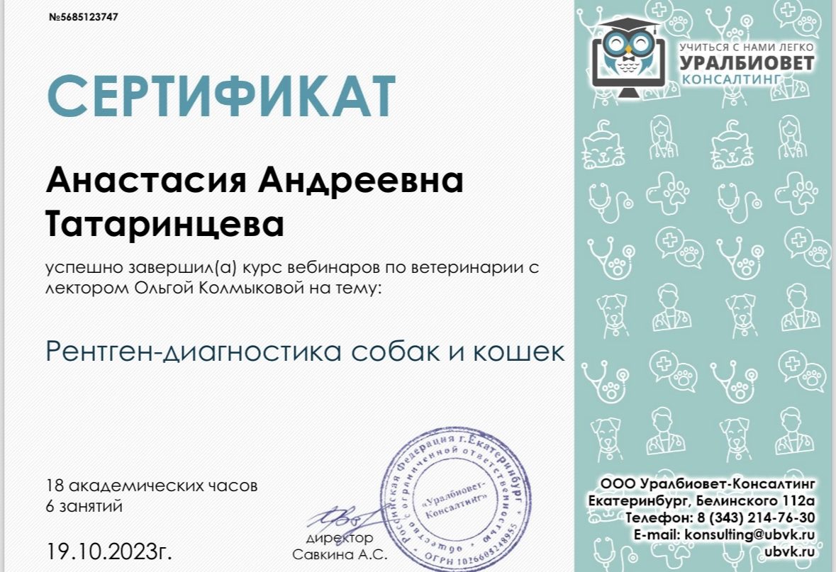 Документ или сертификат