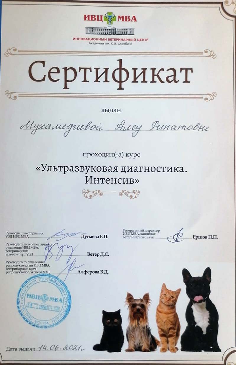 Документ или сертификат