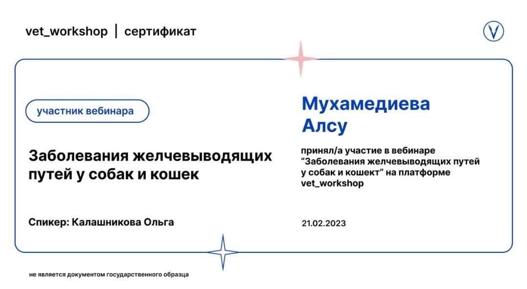 Документ или сертификат