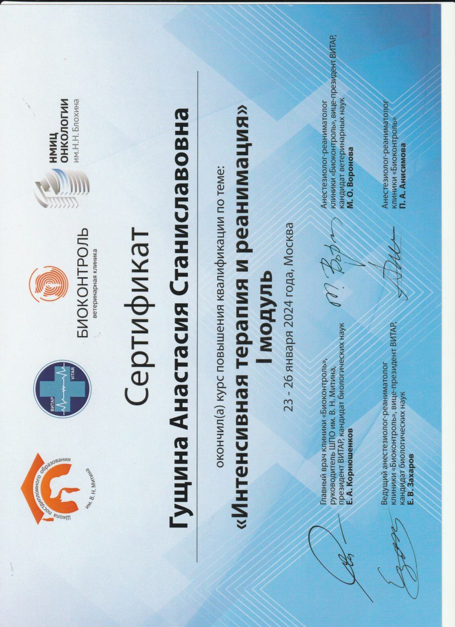 Документ или сертификат