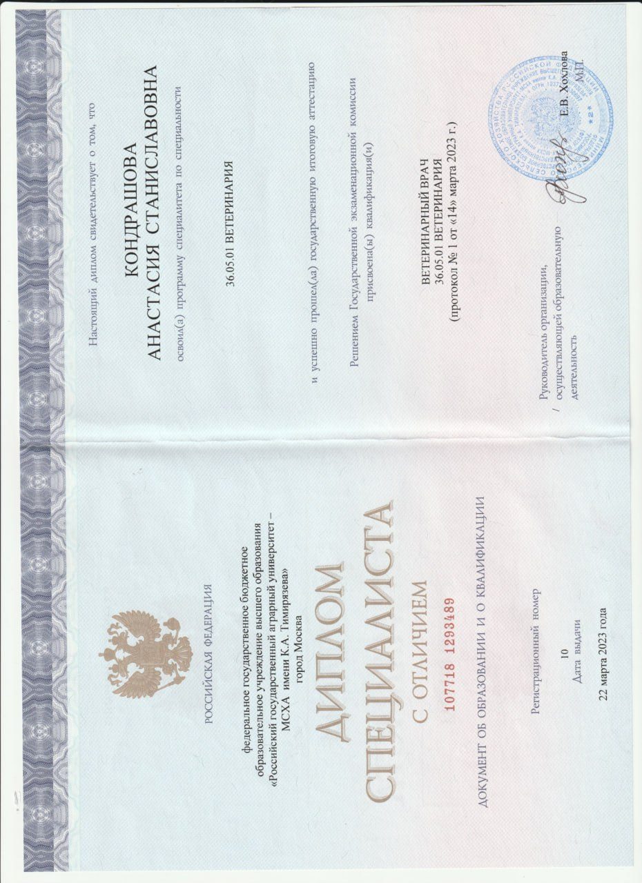 Документ или сертификат