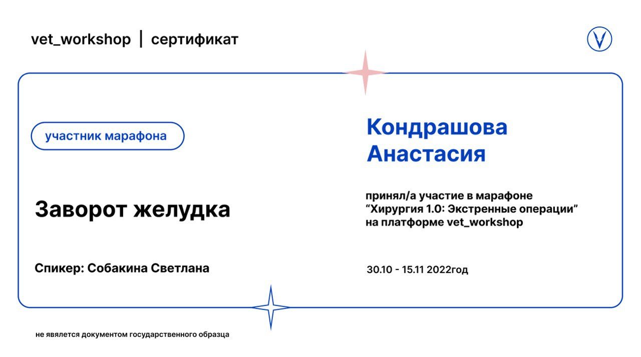 Документ или сертификат