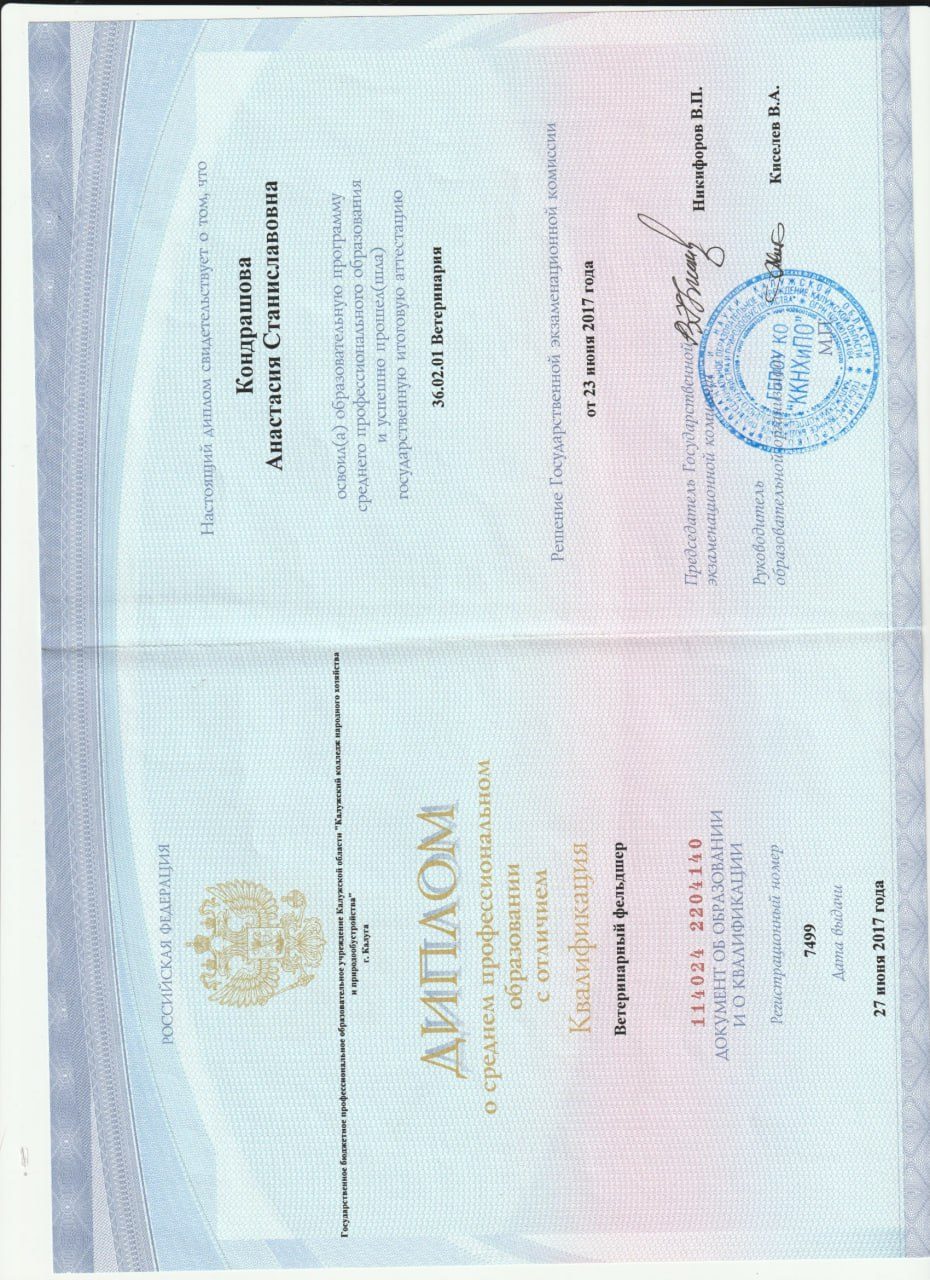 Документ или сертификат