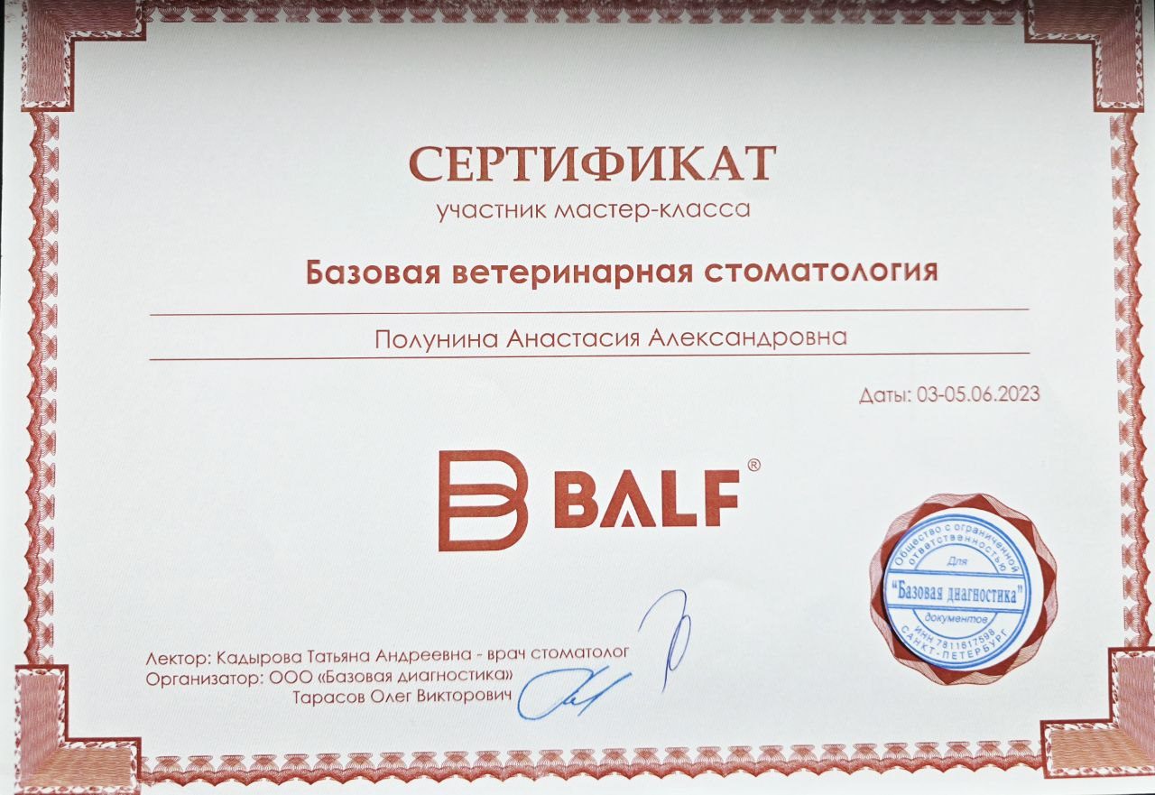 Документ или сертификат
