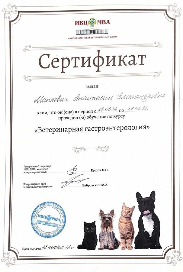 Документ или сертификат