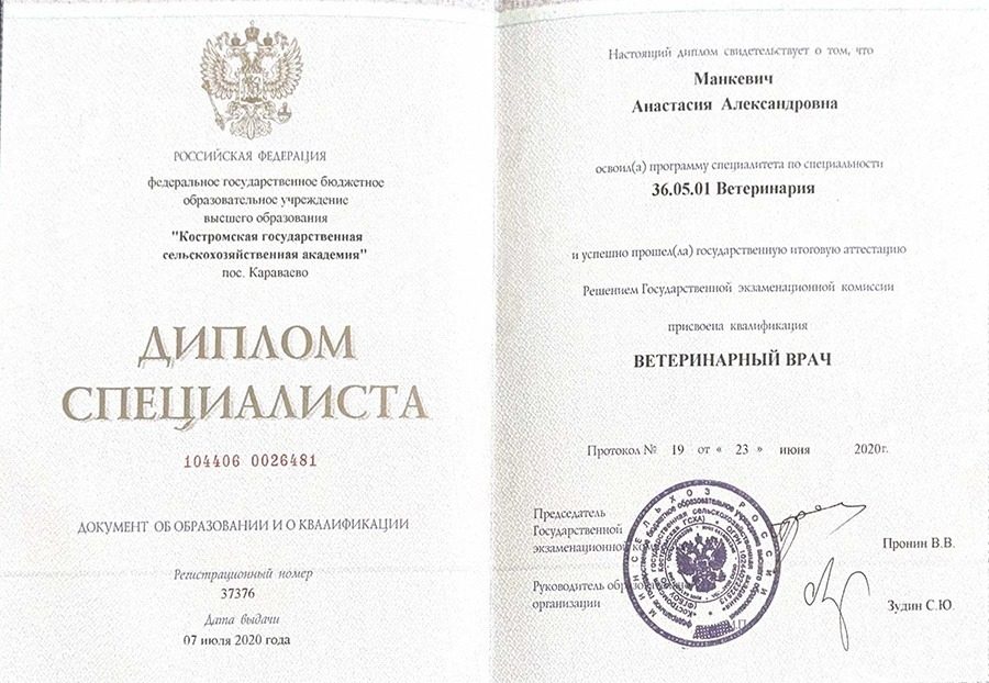Документ или сертификат