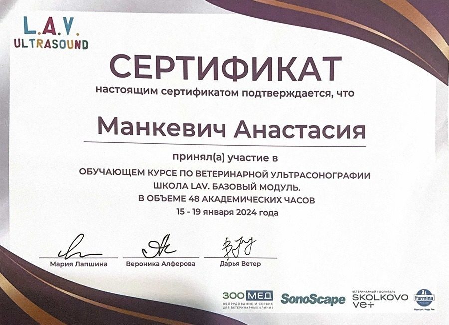 Документ или сертификат