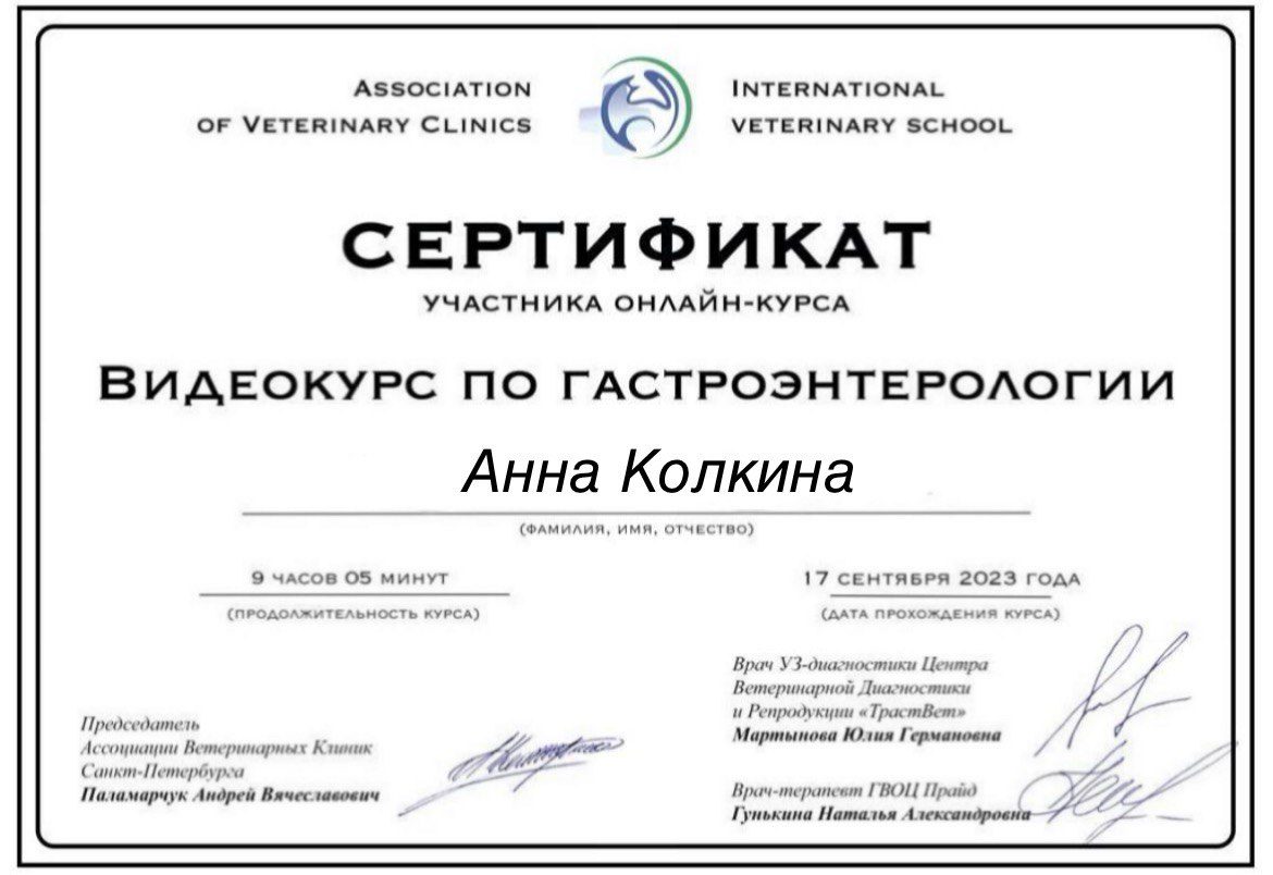 Документ или сертификат