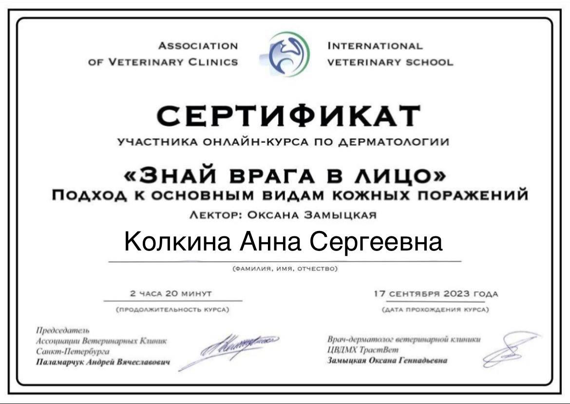 Документ или сертификат