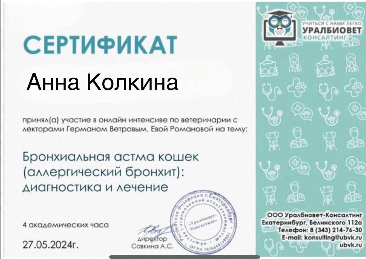 Документ или сертификат