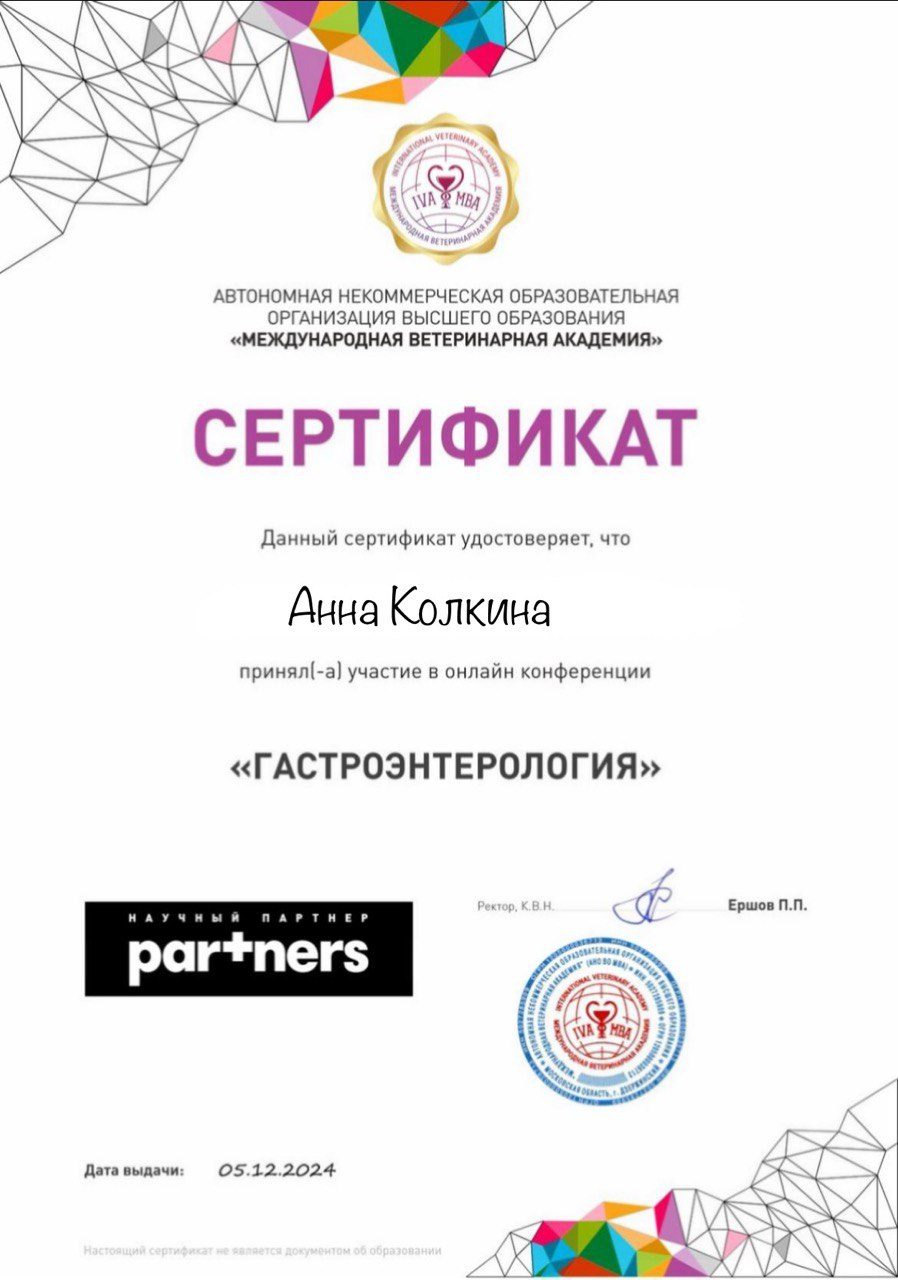Документ или сертификат