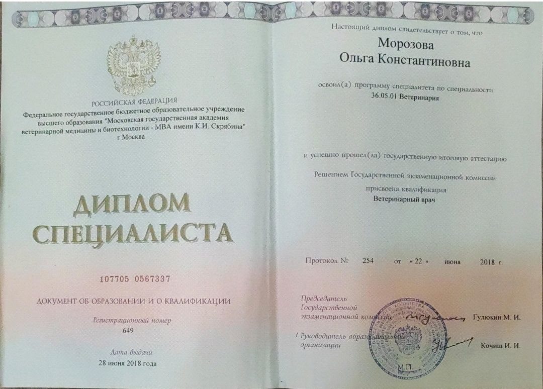 Документ или сертификат