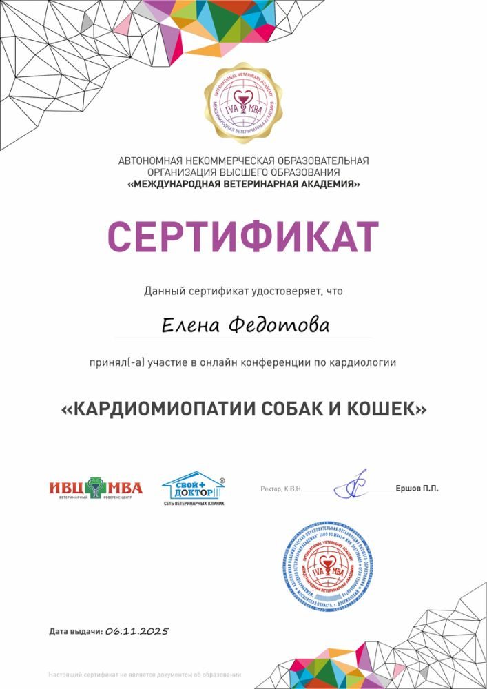 Документ или сертификат