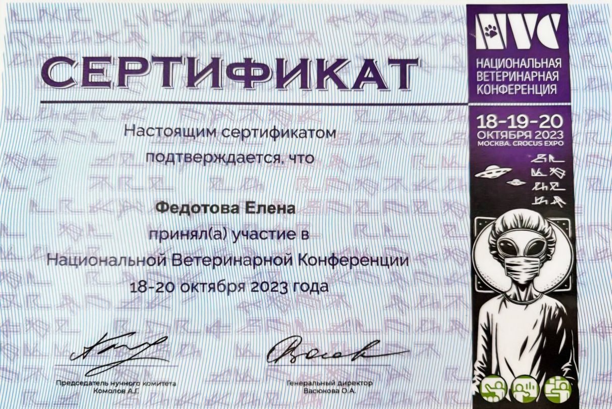 Документ или сертификат