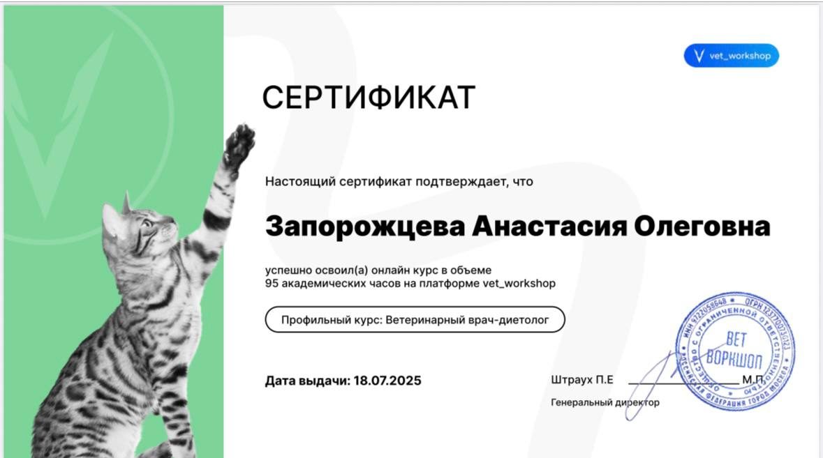 Документ или сертификат
