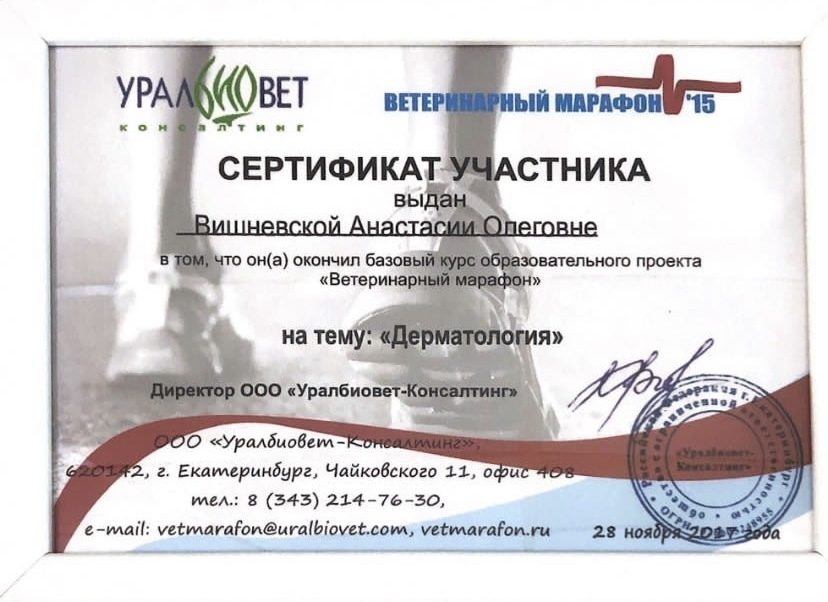 Документ или сертификат