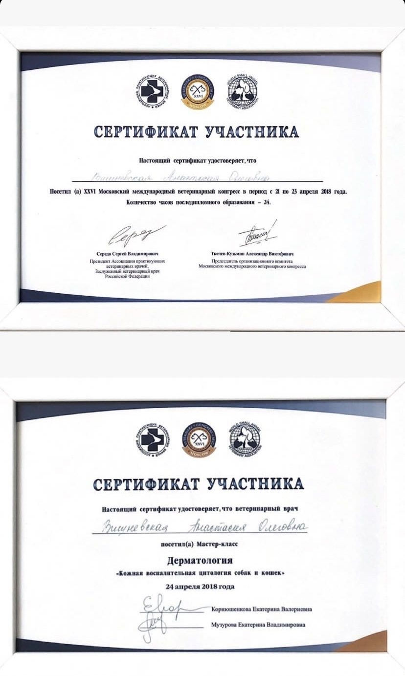 Документ или сертификат