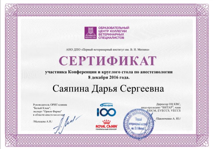 Документ или сертификат