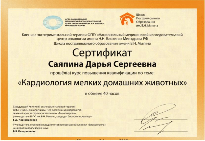 Документ или сертификат