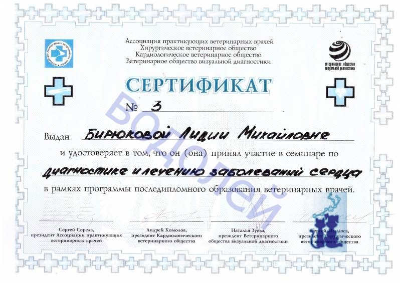 Документ или сертификат