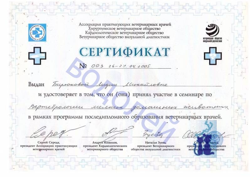 Документ или сертификат