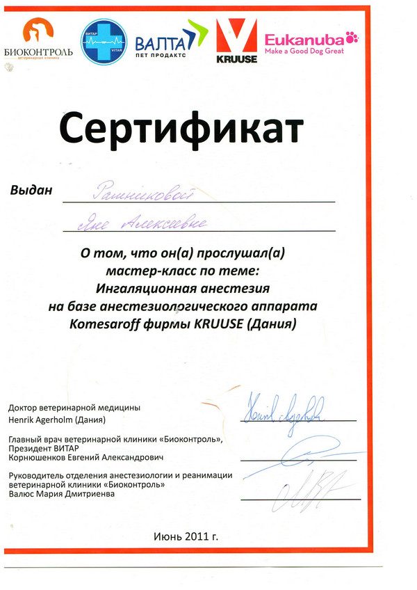 Документ или сертификат