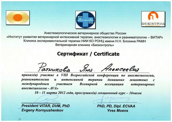 Документ или сертификат