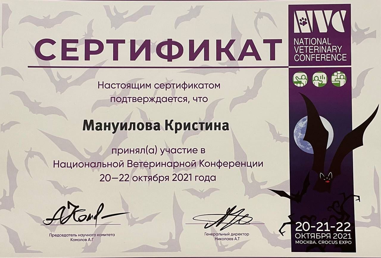 Документ или сертификат