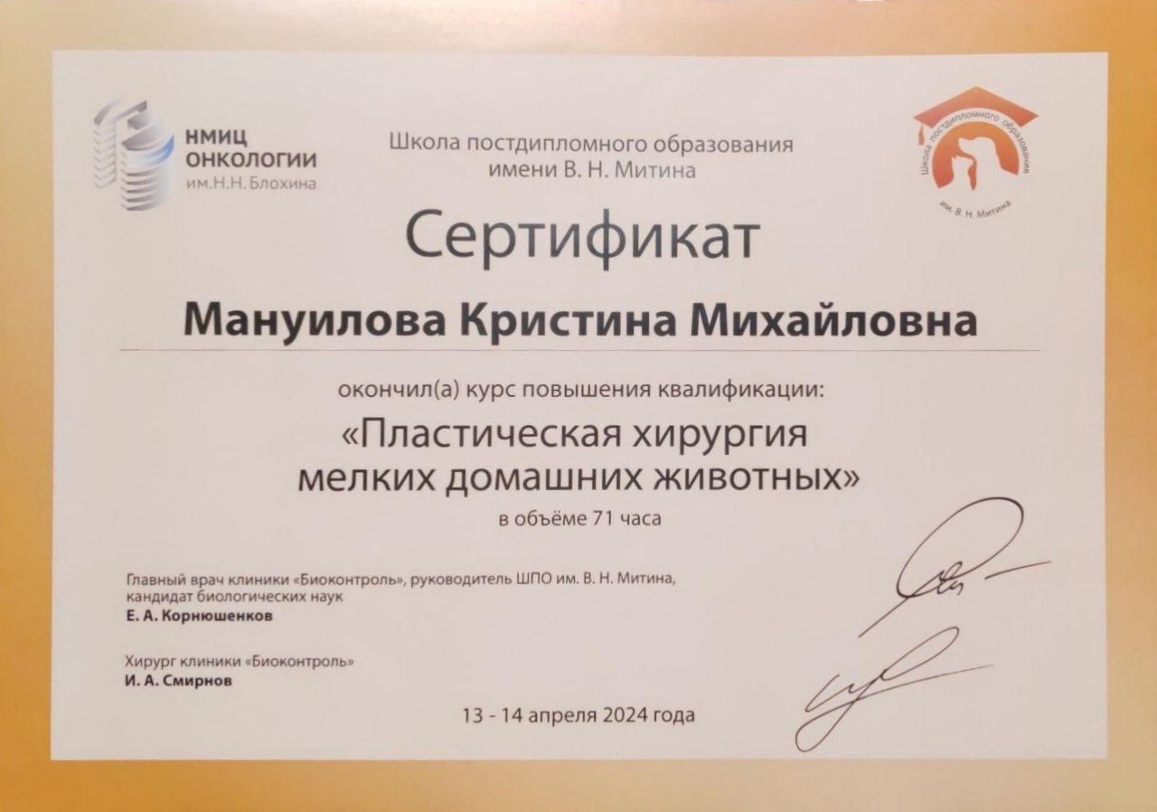 Документ или сертификат