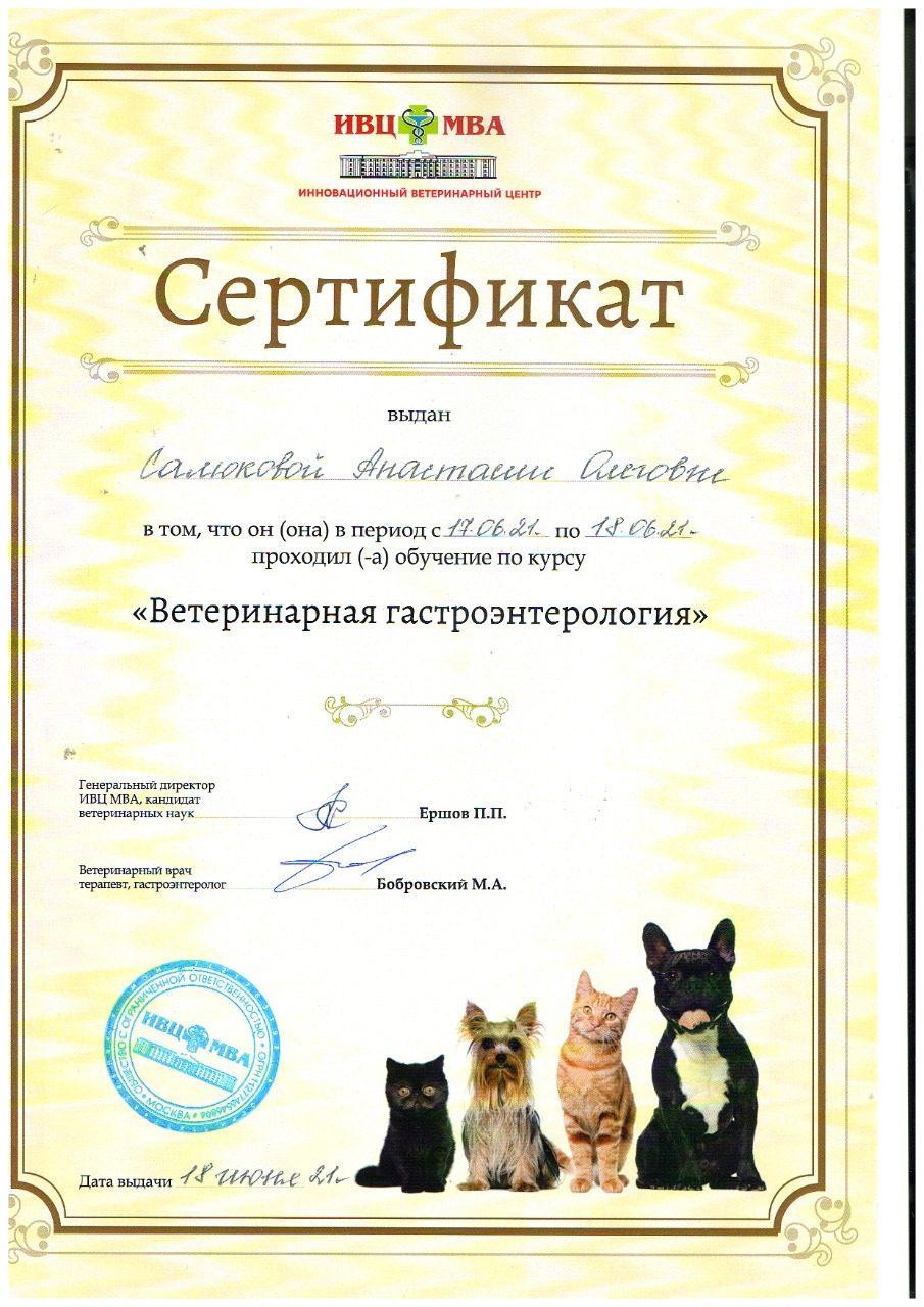 Документ или сертификат