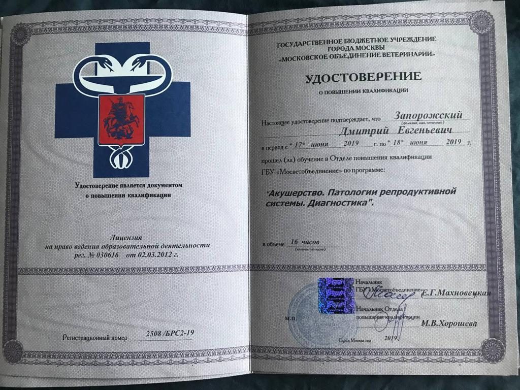Документ или сертификат