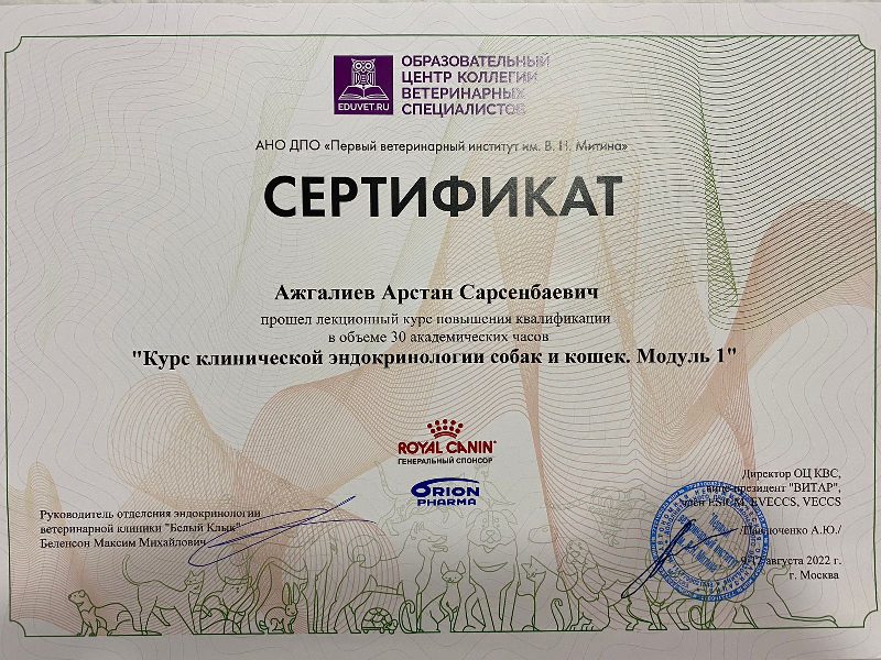Документ или сертификат
