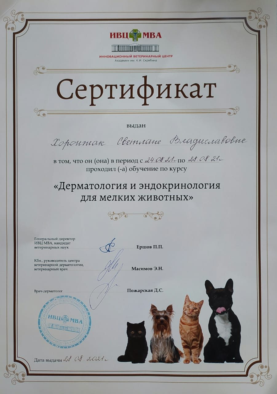 Документ или сертификат