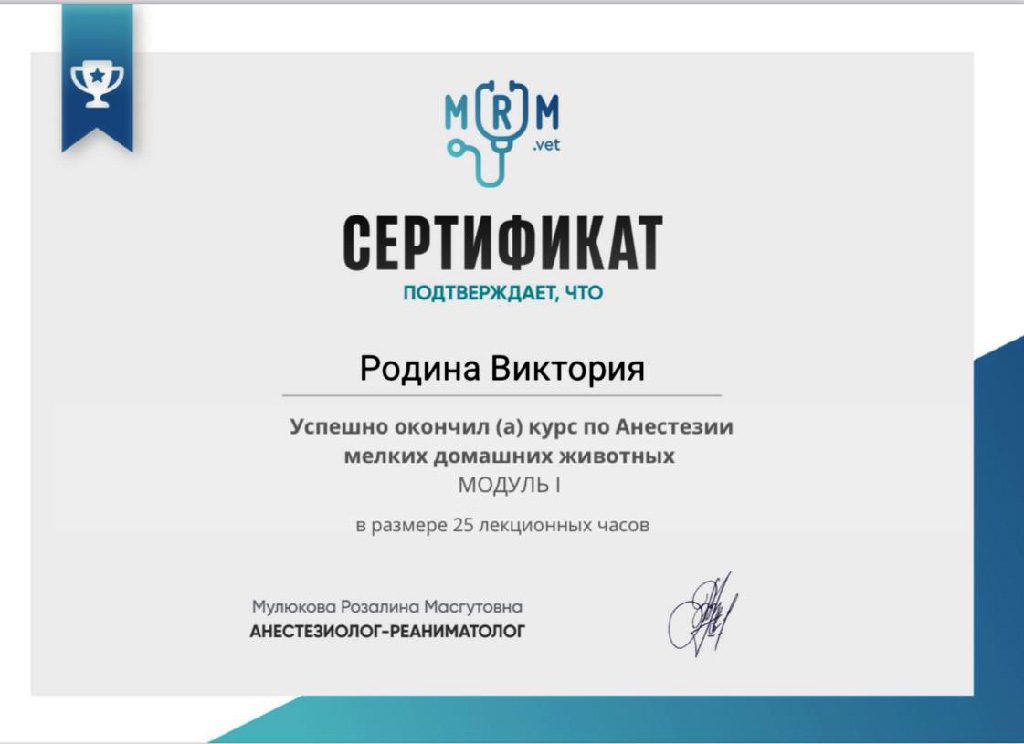 Документ или сертификат