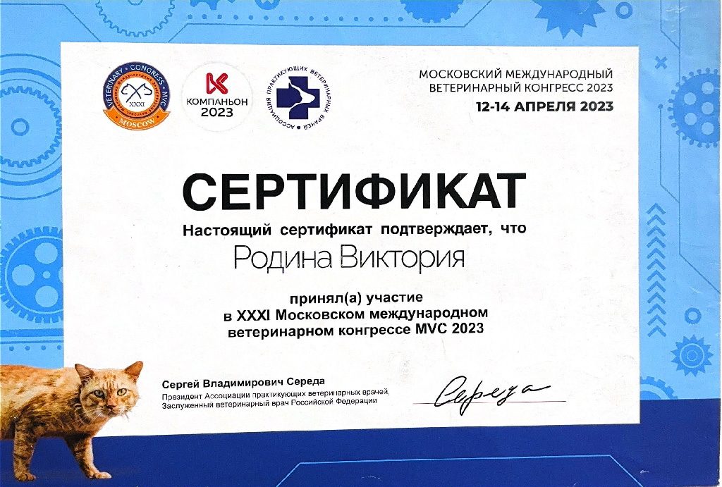 Документ или сертификат