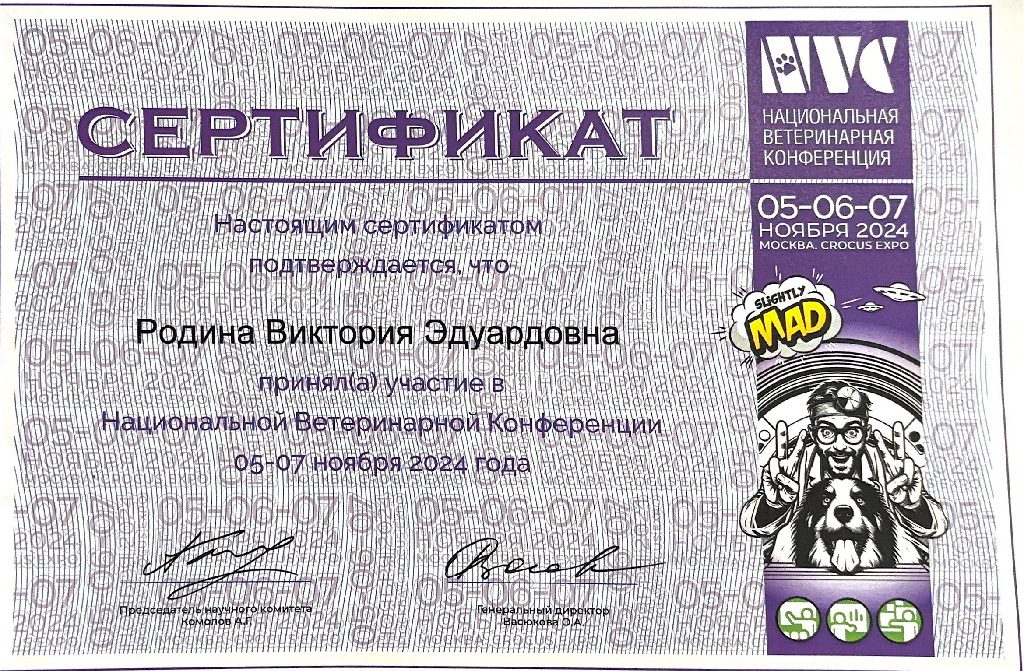 Документ или сертификат