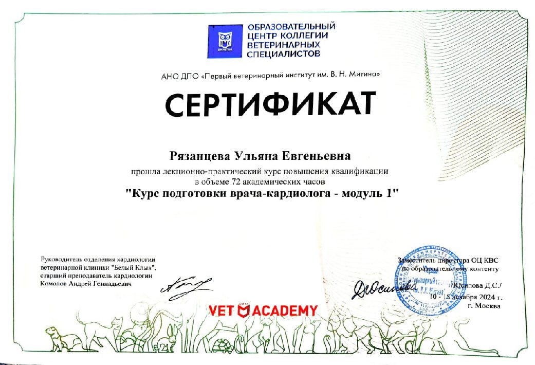 Документ или сертификат